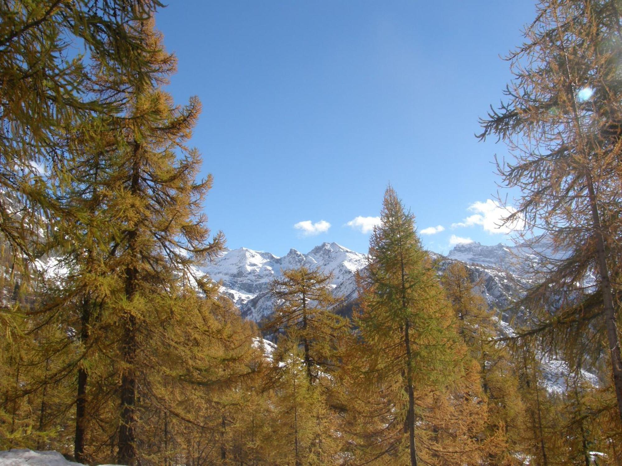 Hotel Gran Baita Gressoney-Saint-Jean Exteriör bild