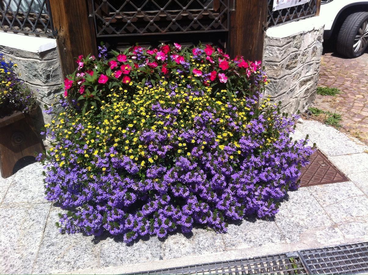 Hotel Gran Baita Gressoney-Saint-Jean Exteriör bild
