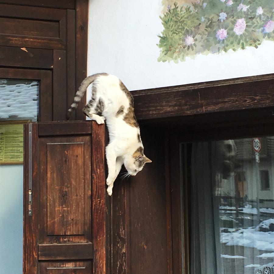 Hotel Gran Baita Gressoney-Saint-Jean Exteriör bild